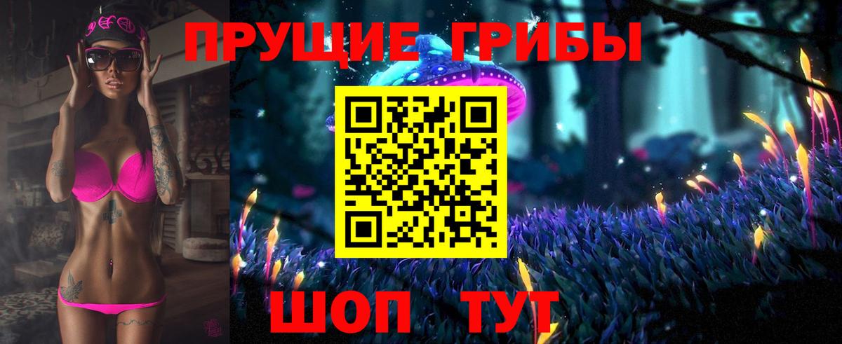Галлюциногенные грибы Psilocybine cubensis Донской