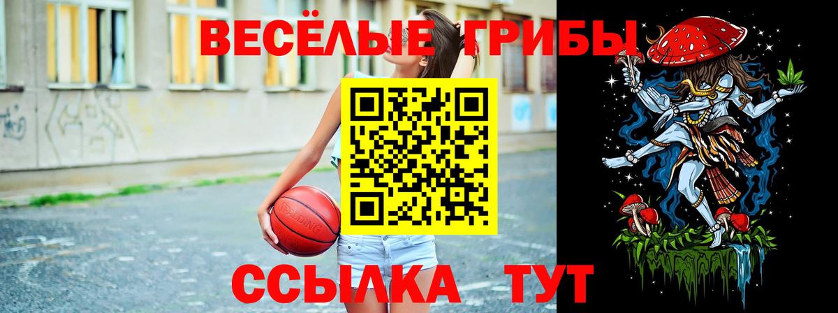 Донской  закладки  Вход с VPN  Галлюциногенные грибы прущие грибы  Псилоцибиновые грибы Psilocybe 