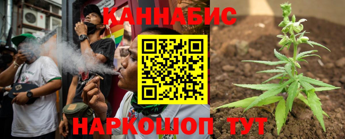 Канабис марихуана  Бошки Шишки планчик  Донской  Конопля индика  Вход с VPN 
